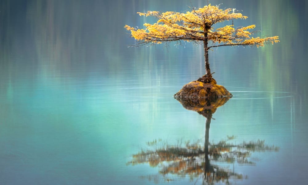 May 12 – Valuing Others