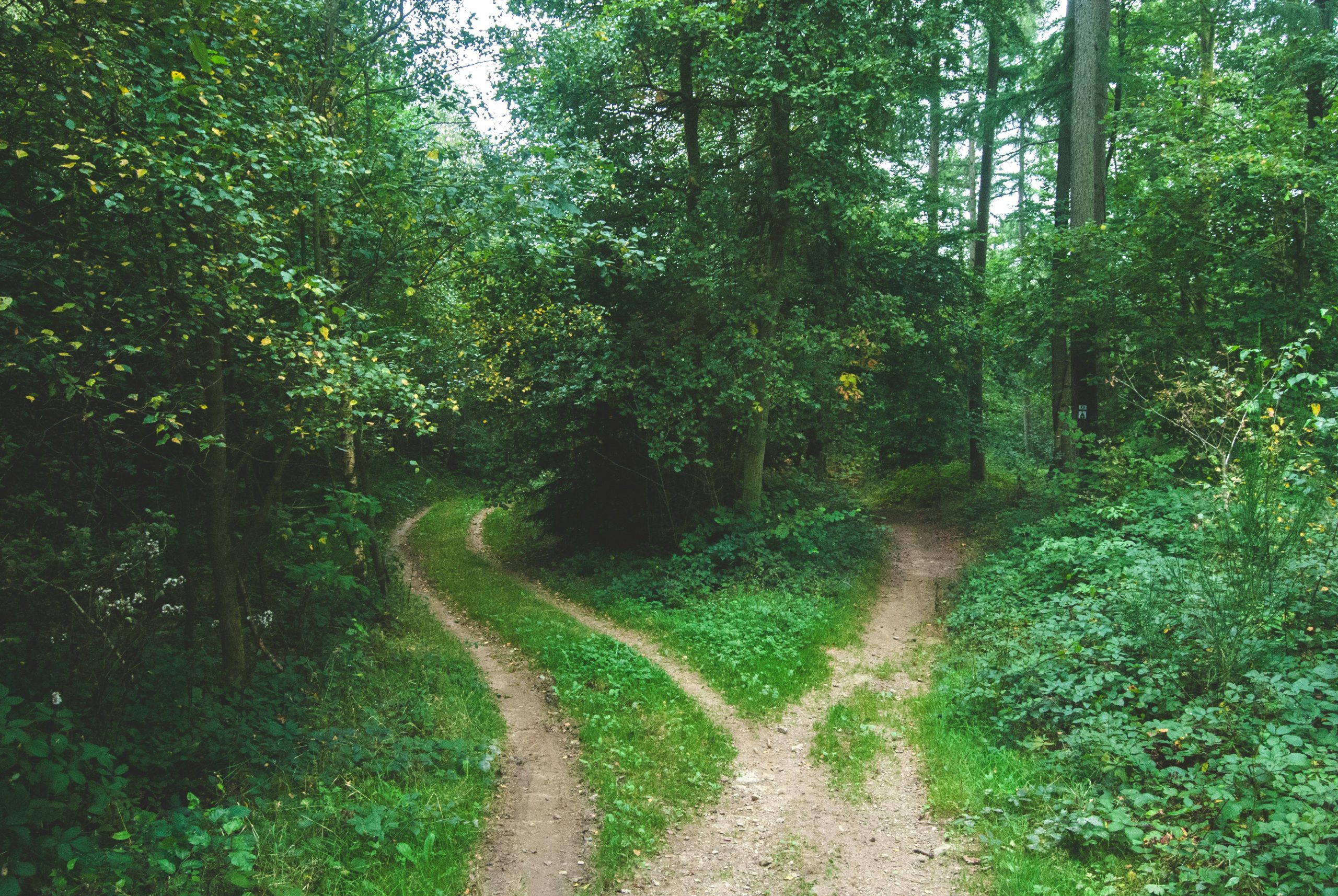 Prospection and Transition