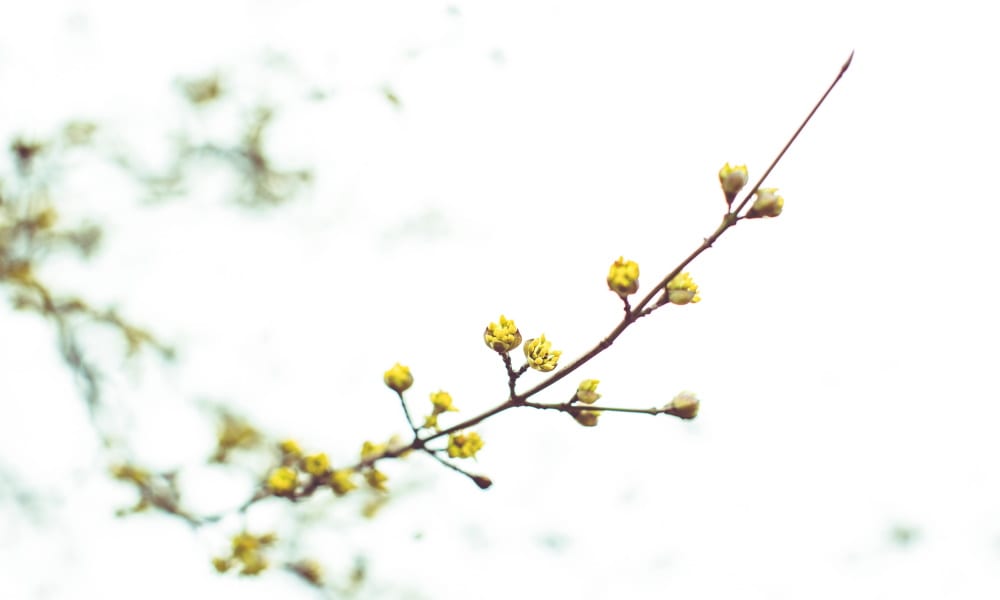 May 3 – Wise Minds