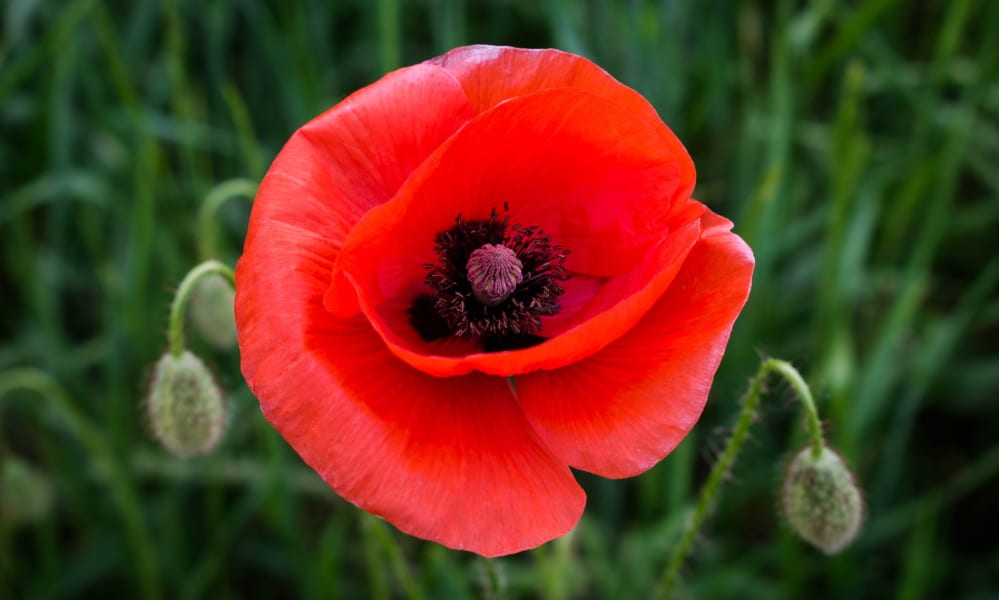 May 21 – Self Compassion