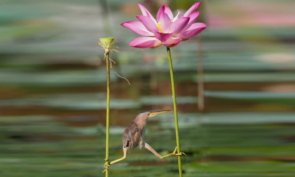 May 30 – Balancing Priorities and Demands